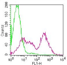 Figure-1: Flowcytometric analysis of Rat  NKG2A/C/E antibody. Anti- Rat NKG2A/C/E was tested in rat splenocytes. Green line represent Isotype control and red line represent Anti- Rat NKG2A/C/E antibody (Cat. No.: 10-4191 ABEOMICS). 0.5 µg antibody was used. Goat anti-mouse FITC was used as secondary antibody.